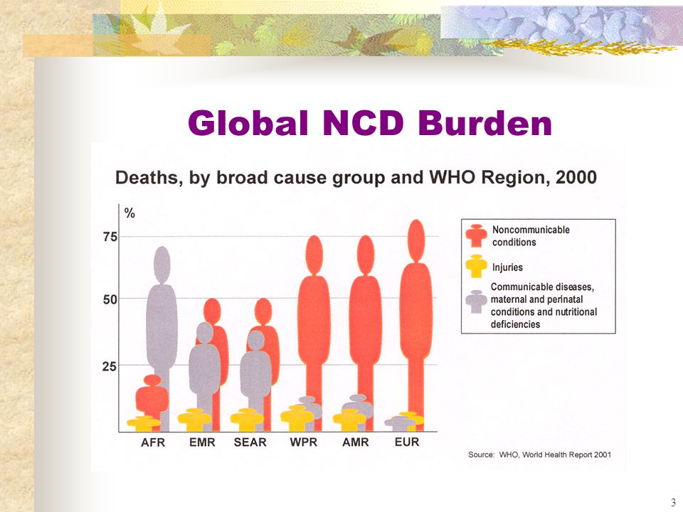 3 Global NCD Burden