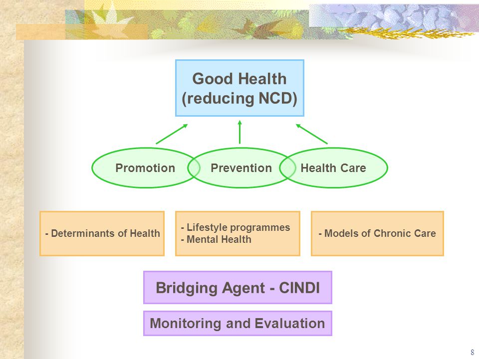 8 Good Health (reducing NCD) PromotionPreventionHealth Care - Determinants of Health - Lifestyle programmes - Mental Health - Models of Chronic Care Bridging Agent - CINDI Monitoring and Evaluation