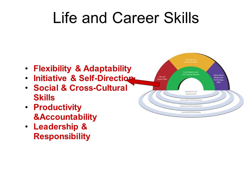 Life and Career Skills Flexibility & Adaptability Initiative & Self-Direction Social & Cross-Cultural Skills Productivity &Accountability Leadership & Responsibility