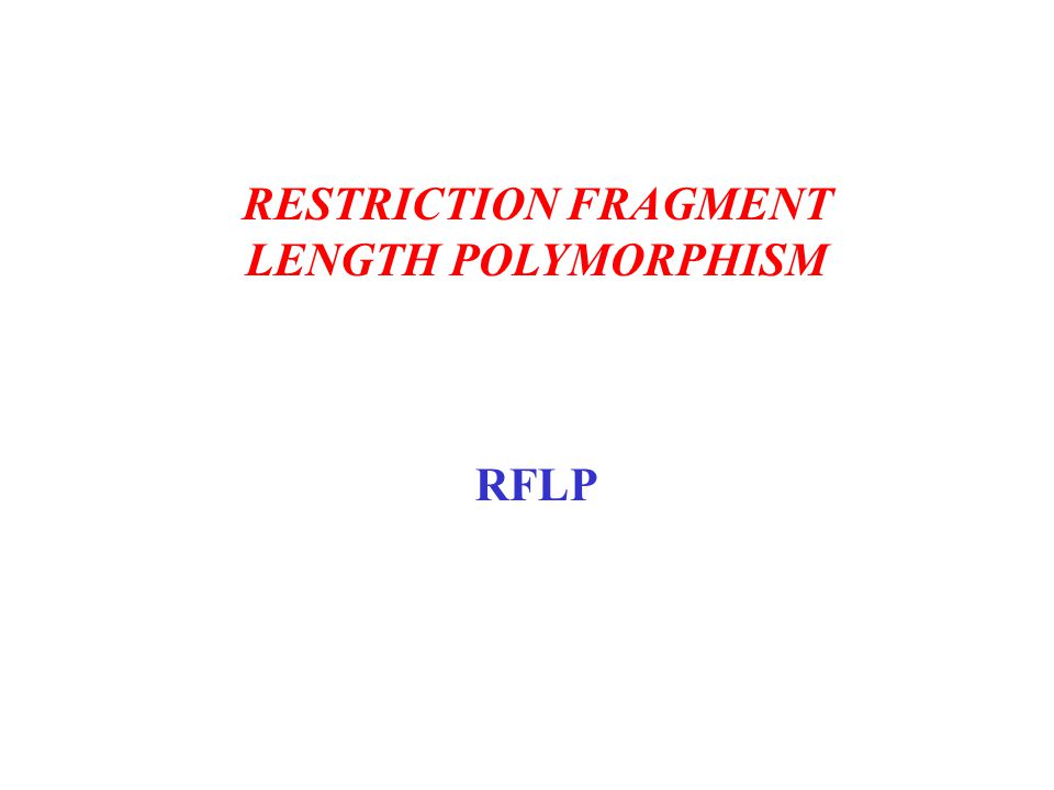 RESTRICTION FRAGMENT LENGTH POLYMORPHISM RFLP