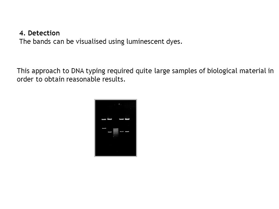 4. Detection The bands can be visualised using luminescent dyes.