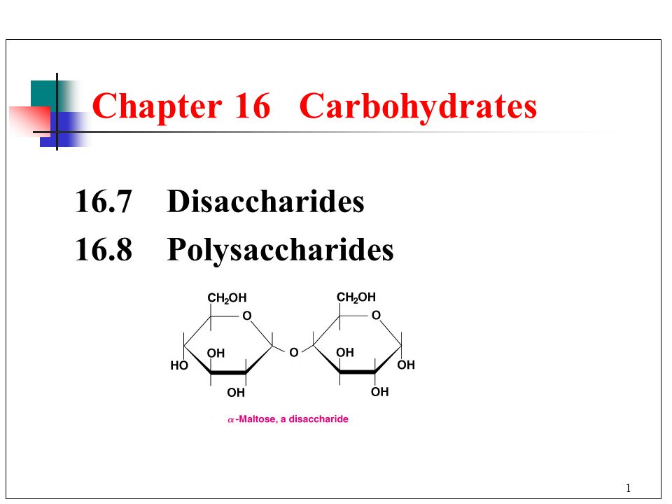 1 Chapter 16 Carbohydrates 16.7 Disaccharides 16.8 Polysaccharides