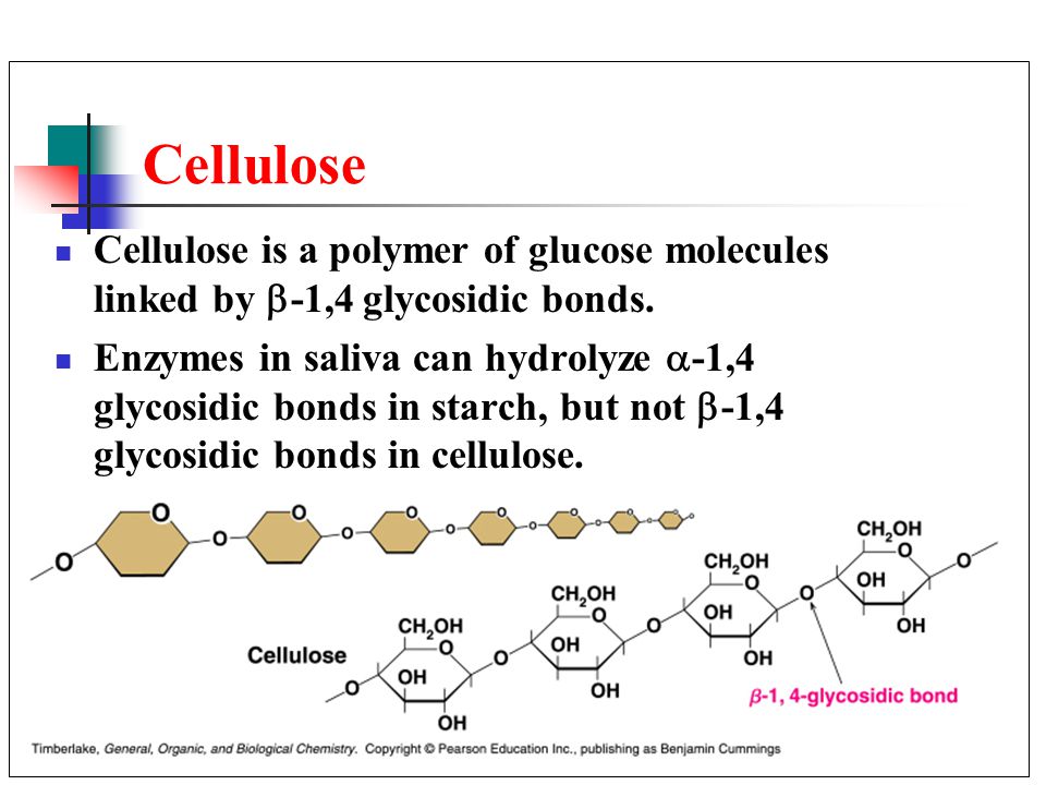 10 Cellulose Cellulose is a polymer of glucose molecules linked by  -1,4 glycosidic bonds.