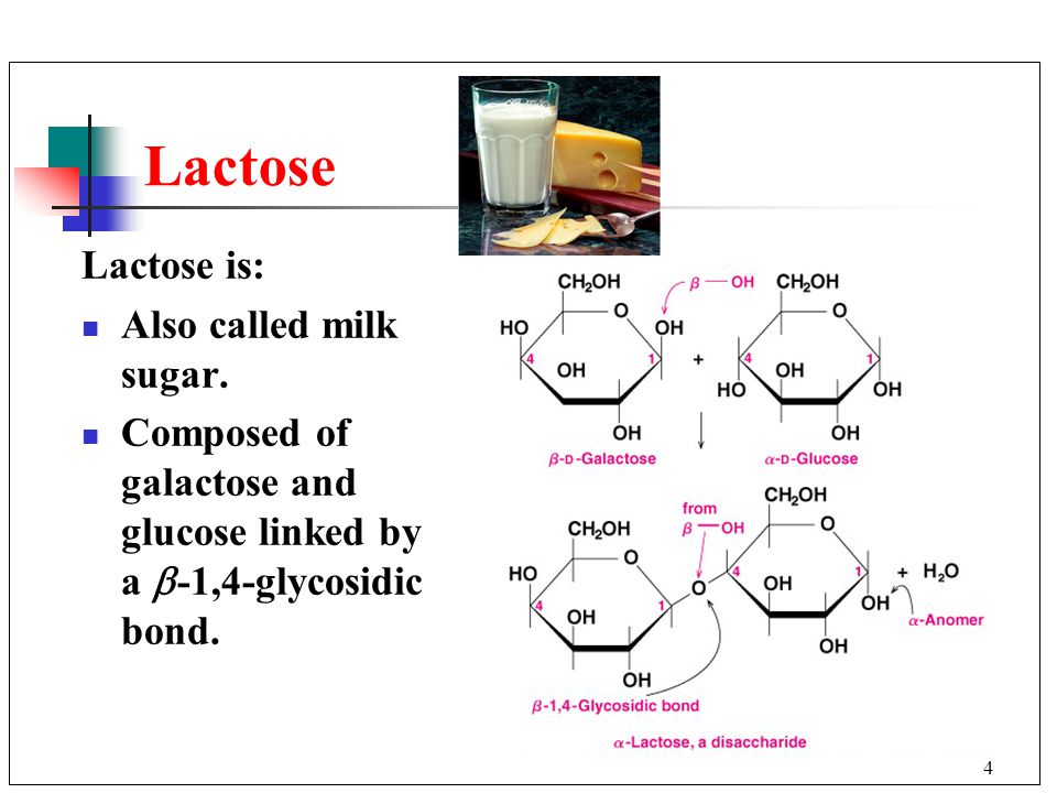 4 Lactose Lactose is: Also called milk sugar.