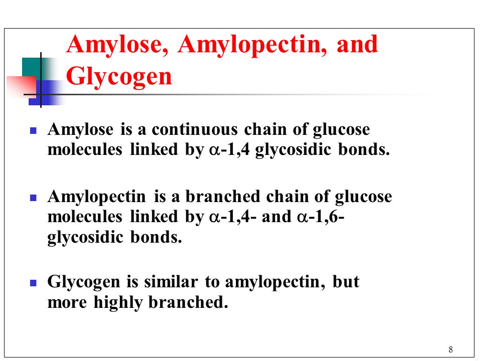 8 Amylose, Amylopectin, and Glycogen Amylose is a continuous chain of glucose molecules linked by  -1,4 glycosidic bonds.