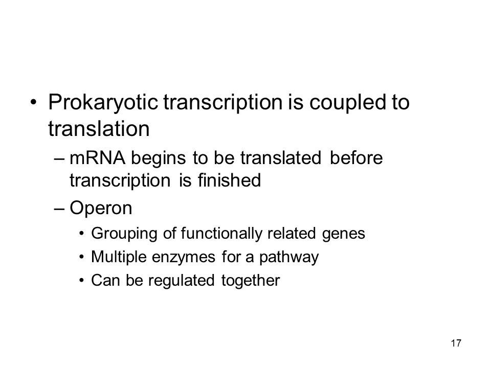 Prokaryotic transcription is coupled to translation –mRNA begins to be translated before transcription is finished –Operon Grouping of functionally related genes Multiple enzymes for a pathway Can be regulated together 17