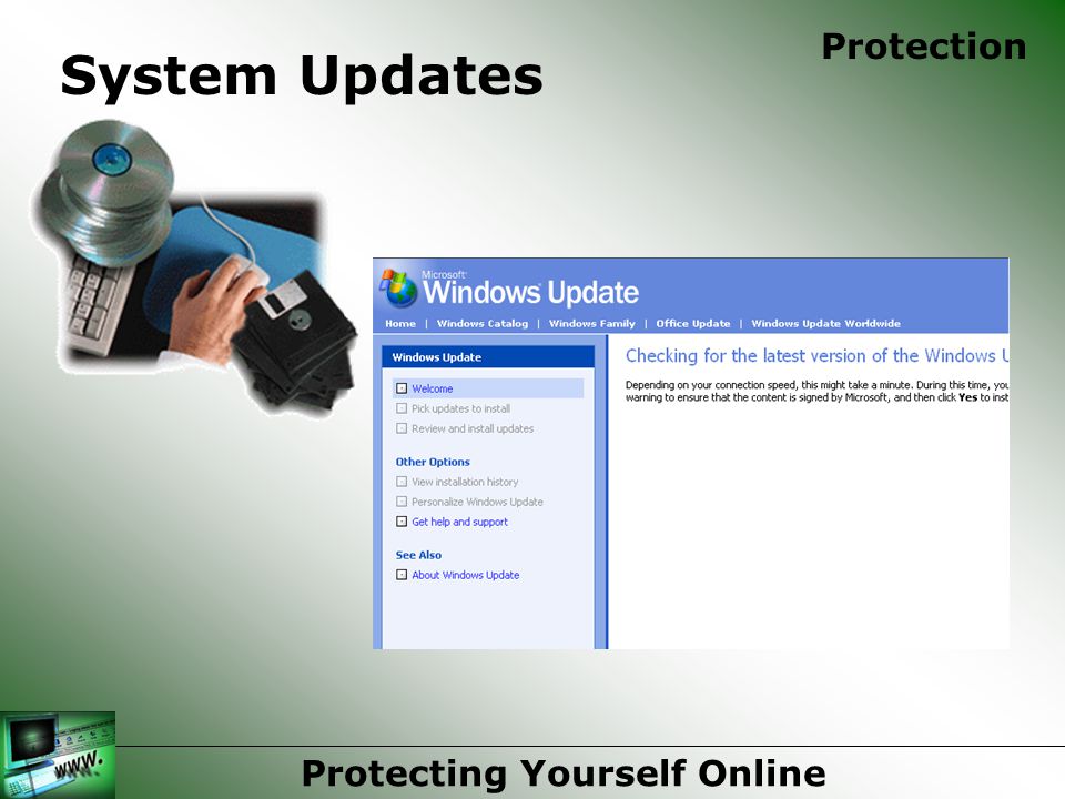Protecting Yourself Online Protection System Updates