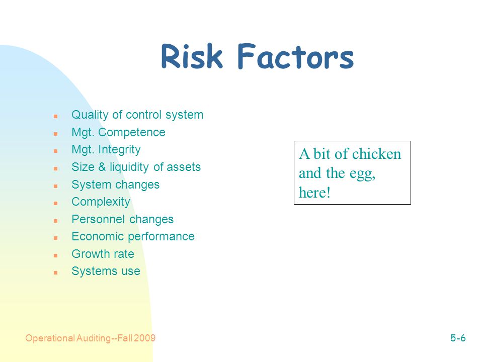 Operational Auditing--Fall Risk Factors n Quality of control system n Mgt.