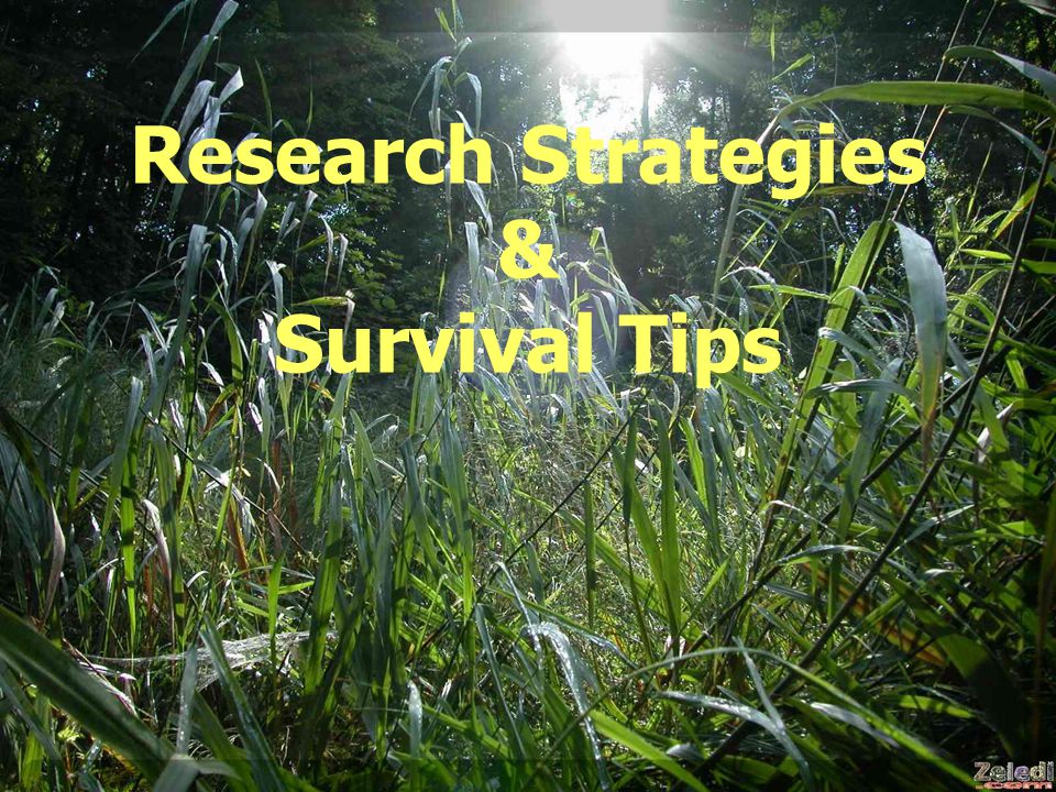 Research Strategies & Survival Tips