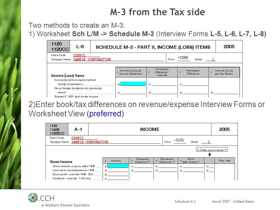 March United StatesSchedule M-3 Two methods to create an M-3: 1) Worksheet Sch L/M -> Schedule M-3 (Interview Forms L-5, L-6, L-7, L-8) 2)Enter book/tax differences on revenue/expense Interview Forms or Worksheet View (preferred) M-3 from the Tax side