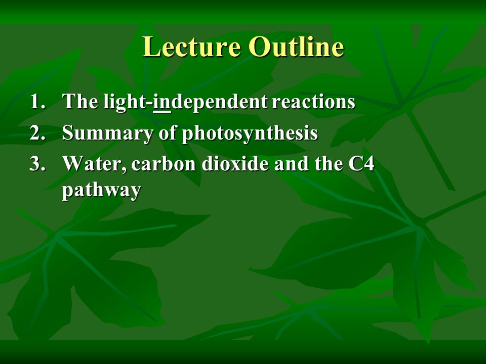 Lecture Outline 1.The light-independent reactions 2.Summary of photosynthesis 3.Water, carbon dioxide and the C4 pathway