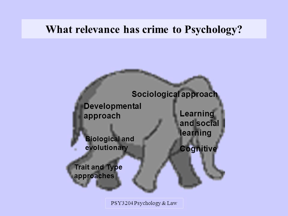 PSY3204 Psychology & Law What relevance has crime to Psychology.