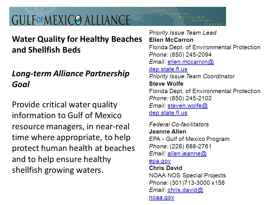 Water Quality for Healthy Beaches and Shellfish Beds Long-term Alliance Partnership Goal Provide critical water quality information to Gulf of Mexico resource managers, in near-real time where appropriate, to help protect human health at beaches and to help ensure healthy shellfish growing waters.