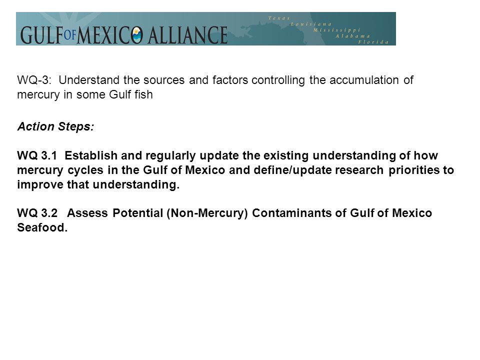 WQ-3: Understand the sources and factors controlling the accumulation of mercury in some Gulf fish Action Steps: WQ 3.1 Establish and regularly update the existing understanding of how mercury cycles in the Gulf of Mexico and define/update research priorities to improve that understanding.
