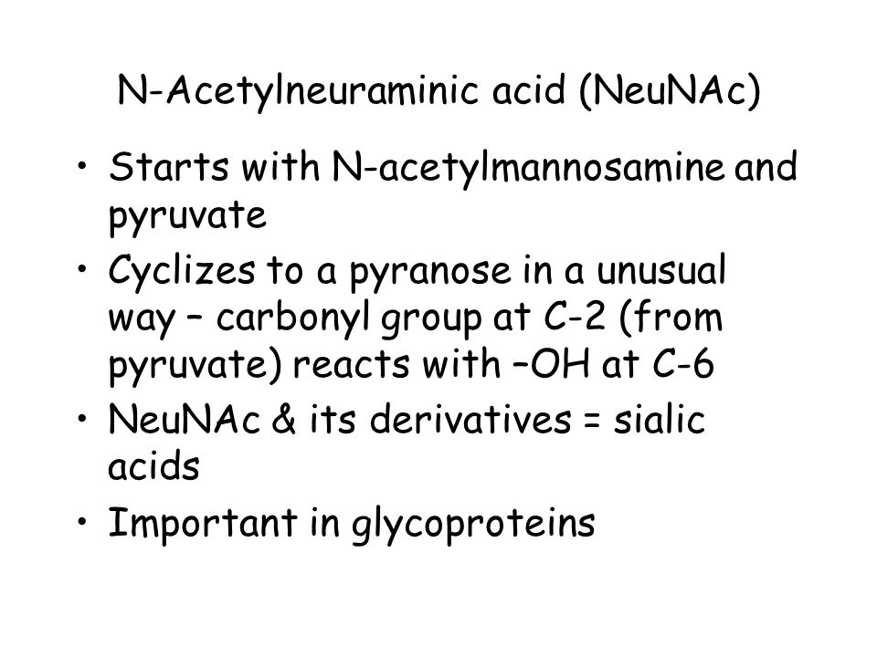 N-Acetylneuraminic acid (NeuNAc) Starts with N-acetylmannosamine and pyruvate Cyclizes to a pyranose in a unusual way – carbonyl group at C-2 (from pyruvate) reacts with –OH at C-6 NeuNAc & its derivatives = sialic acids Important in glycoproteins
