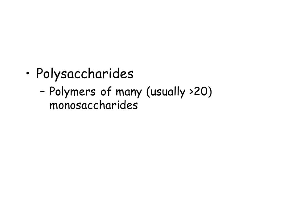 Polysaccharides –Polymers of many (usually >20) monosaccharides