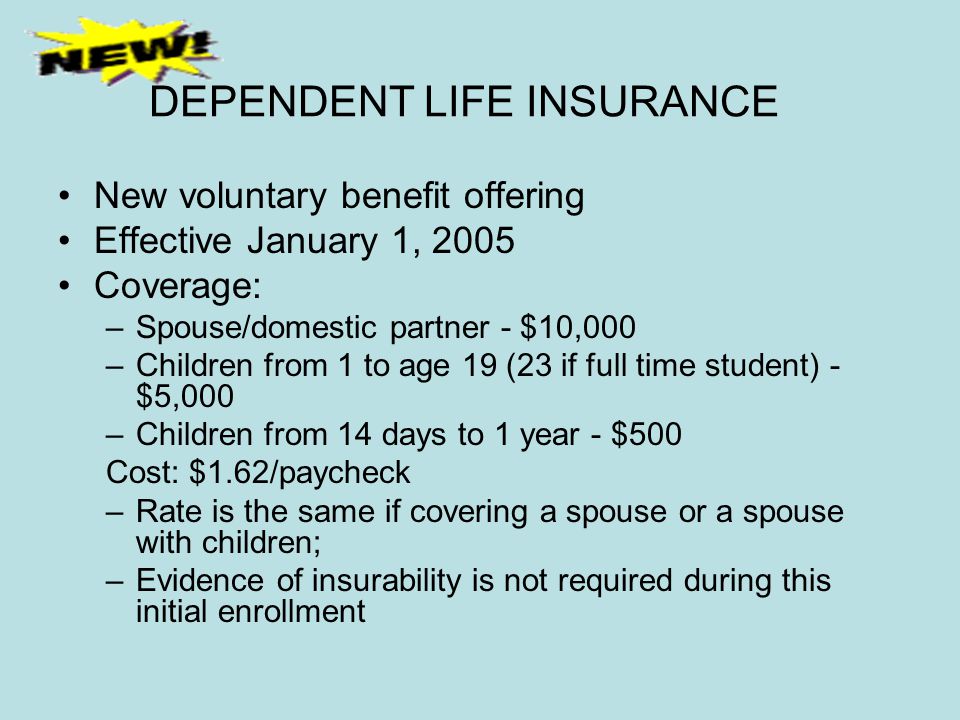 DEPENDENT LIFE INSURANCE New voluntary benefit offering Effective January 1, 2005 Coverage: –Spouse/domestic partner - $10,000 –Children from 1 to age 19 (23 if full time student) - $5,000 –Children from 14 days to 1 year - $500 Cost: $1.62/paycheck –Rate is the same if covering a spouse or a spouse with children; –Evidence of insurability is not required during this initial enrollment