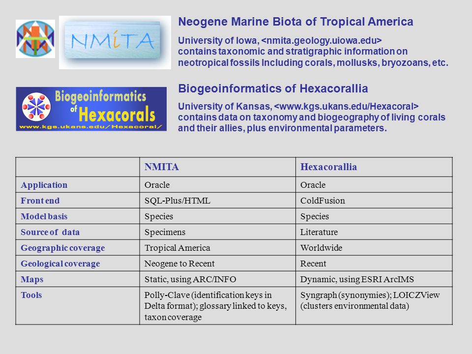 NMITAHexacorallia ApplicationOracle Front endSQL-Plus/HTMLColdFusion Model basisSpecies Source of dataSpecimensLiterature Geographic coverageTropical AmericaWorldwide Geological coverageNeogene to RecentRecent MapsStatic, using ARC/INFODynamic, using ESRI ArcIMS ToolsPolly-Clave (identification keys in Delta format); glossary linked to keys, taxon coverage Syngraph (synonymies); LOICZView (clusters environmental data) Neogene Marine Biota of Tropical America University of Iowa, contains taxonomic and stratigraphic information on neotropical fossils Including corals, mollusks, bryozoans, etc.