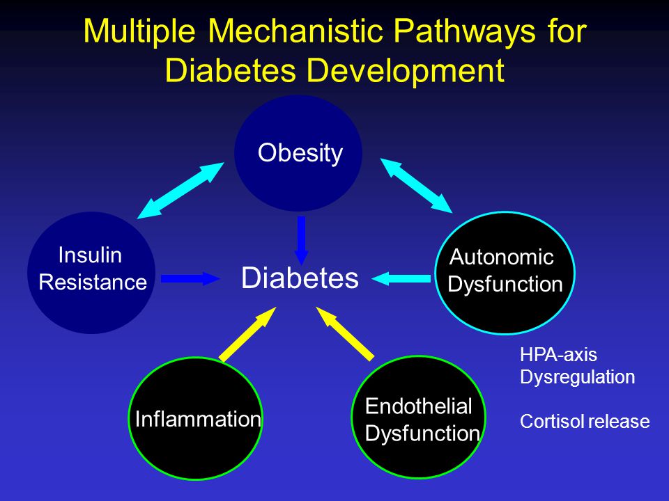 Multiple Mechanistic Pathways for Diabetes Development Obesity Diabetes Autonomic Dysfunction Insulin Resistance Inflammation Endothelial Dysfunction HPA-axis Dysregulation Cortisol release