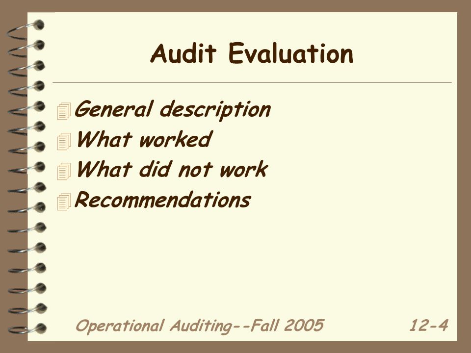 Operational Auditing--Fall Audit Evaluation 4 General description 4 What worked 4 What did not work 4 Recommendations