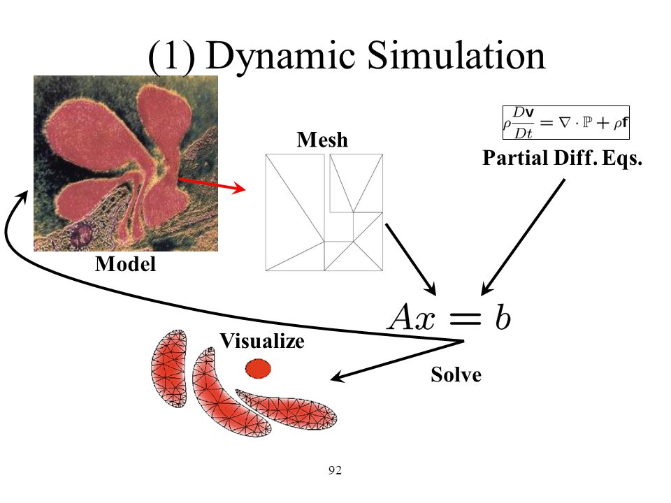 91 Visualize (1) Dynamic Simulation Model Partial Diff. Eqs. Mesh Solve