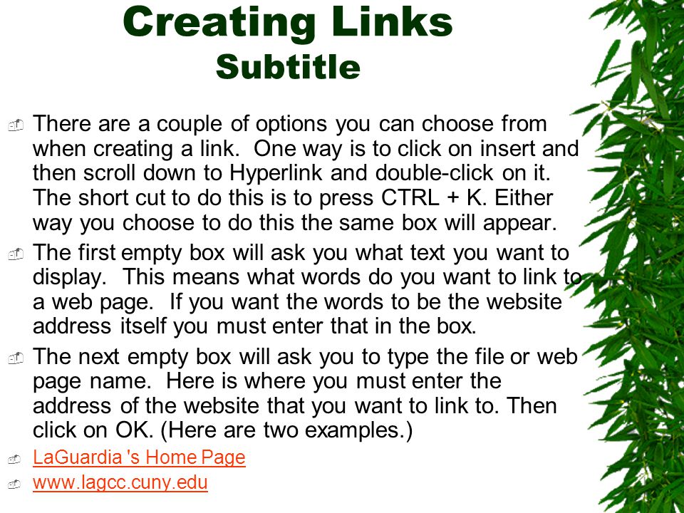 Creating Links Subtitle  There are a couple of options you can choose from when creating a link.