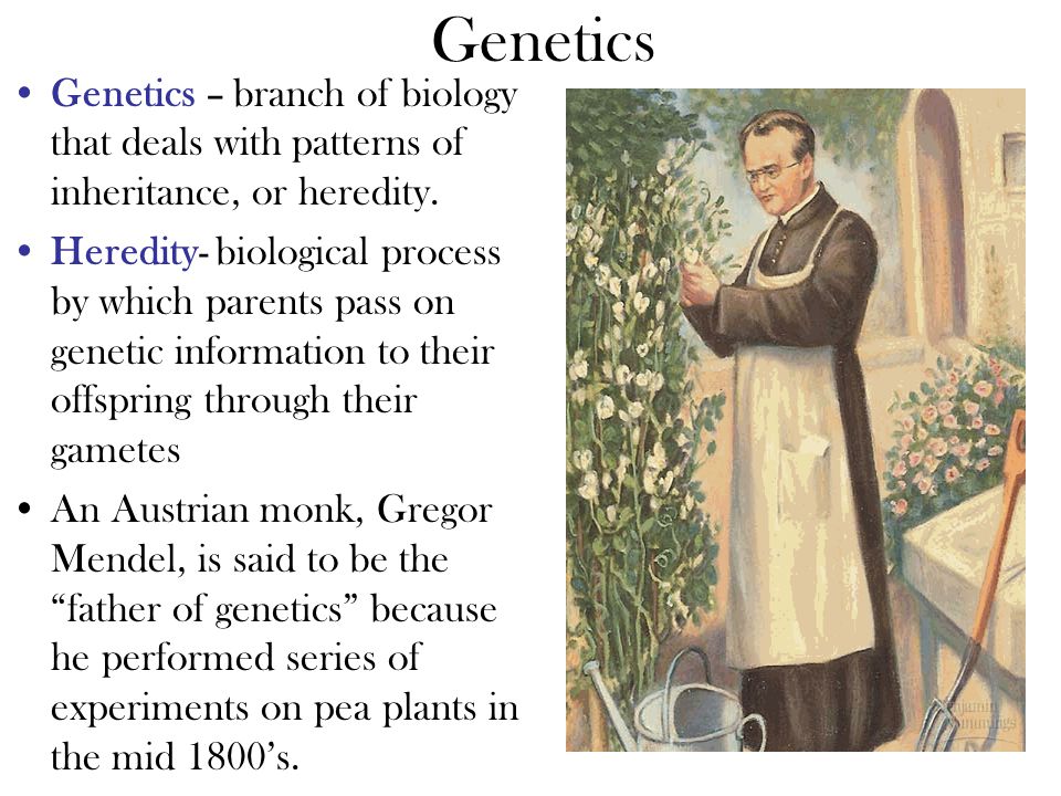 Genetics – branch of biology that deals with patterns of inheritance, or heredity.