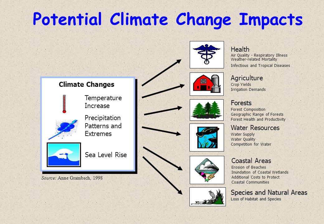 Potential Climate Change Impacts Agriculture Crop Yields Irrigation Demands Coastal Areas Erosion of Beaches Inundation of Coastal Wetlands Additional Costs to Protect Coastal Communities Species and Natural Areas Loss of Habitat and Species Health Air Quality - Respiratory Illness Weather-related Mortality Infectious and Tropical Diseases Climate Changes Sea Level Rise Temperature Increase Precipitation Patterns and ExtremesForests Forest Composition Geographic Range of Forests Forest Health and Productivity Water Resources Water Supply Water Quality Competition for Water Source: Anne Grambsch, 1998