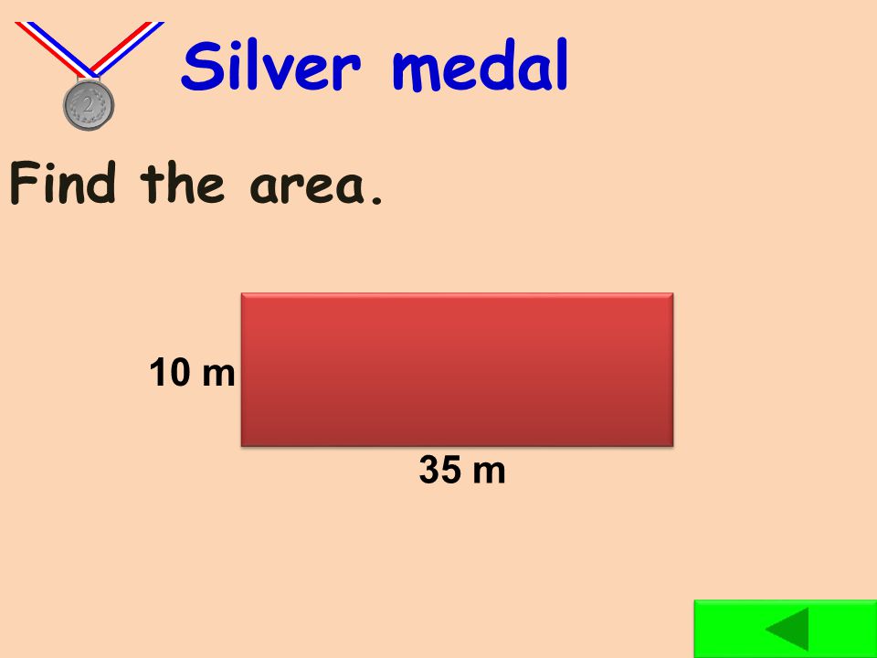 Find the area. Bronze medal 6 m 19 m