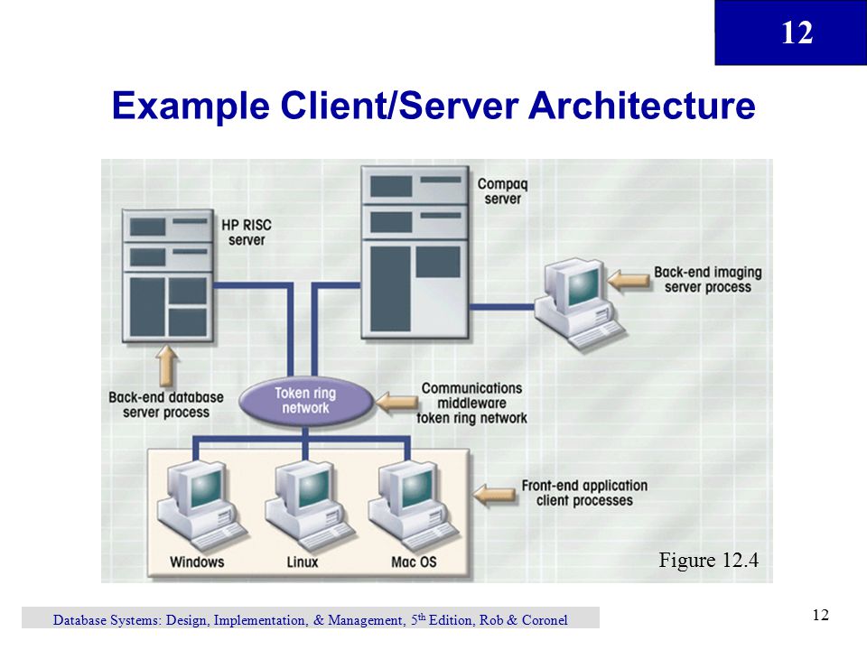 12 Database Systems: Design, Implementation, & Management, 5 th Edition, Rob & Coronel 12 Example Client/Server Architecture Figure 12.4