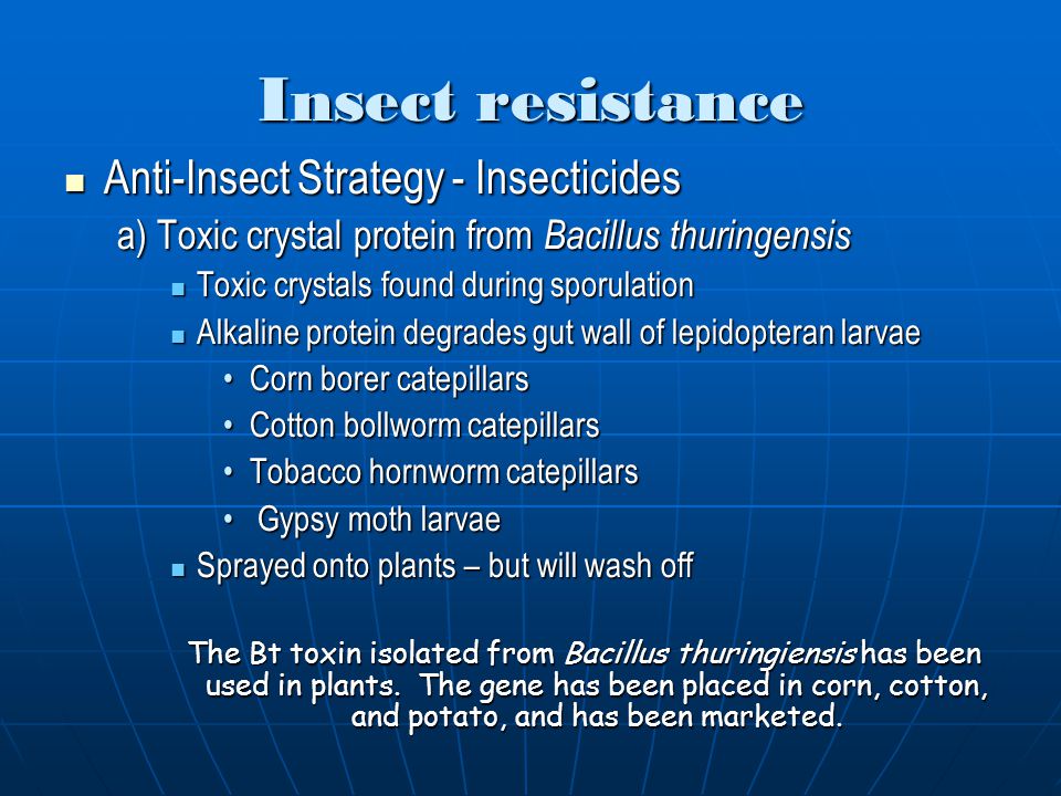Insect resistance Anti-Insect Strategy - Insecticides Anti-Insect Strategy - Insecticides a) Toxic crystal protein from Bacillus thuringensis Toxic crystals found during sporulation Toxic crystals found during sporulation Alkaline protein degrades gut wall of lepidopteran larvae Alkaline protein degrades gut wall of lepidopteran larvae Corn borer catepillarsCorn borer catepillars Cotton bollworm catepillarsCotton bollworm catepillars Tobacco hornworm catepillarsTobacco hornworm catepillars Gypsy moth larvae Gypsy moth larvae Sprayed onto plants – but will wash off Sprayed onto plants – but will wash off The Bt toxin isolated from Bacillus thuringiensis has been used in plants.