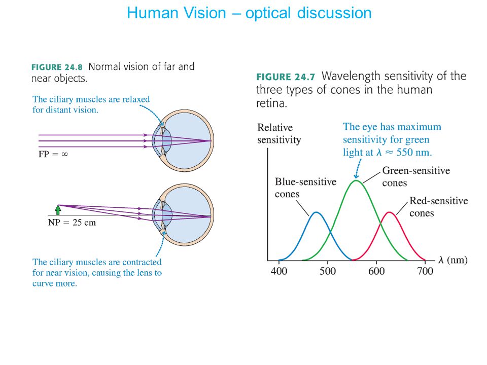 Human Vision – optical discussion