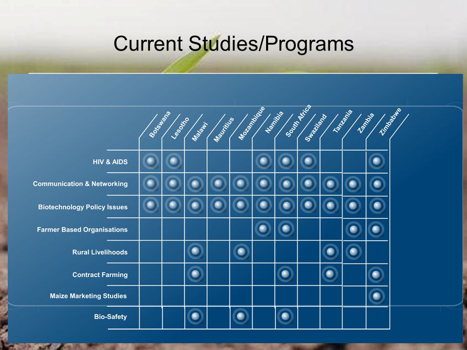 Current Studies/Programs
