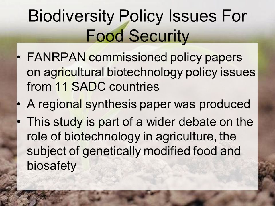 Biodiversity Policy Issues For Food Security FANRPAN commissioned policy papers on agricultural biotechnology policy issues from 11 SADC countries A regional synthesis paper was produced This study is part of a wider debate on the role of biotechnology in agriculture, the subject of genetically modified food and biosafety