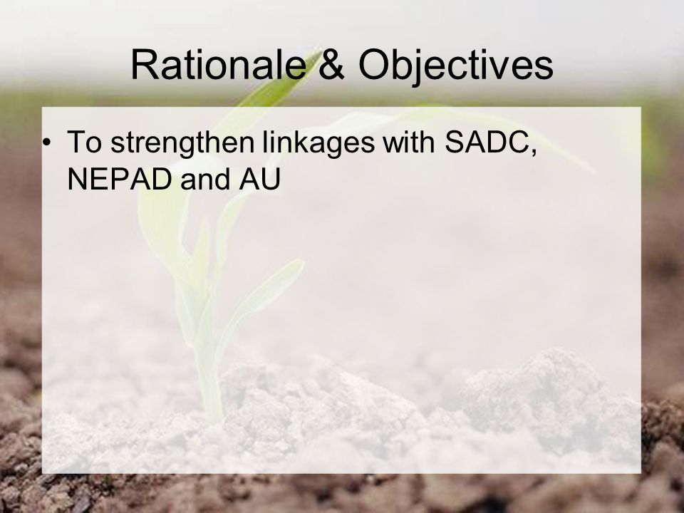 Rationale & Objectives To strengthen linkages with SADC, NEPAD and AU