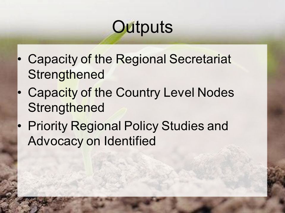 Outputs Capacity of the Regional Secretariat Strengthened Capacity of the Country Level Nodes Strengthened Priority Regional Policy Studies and Advocacy on Identified