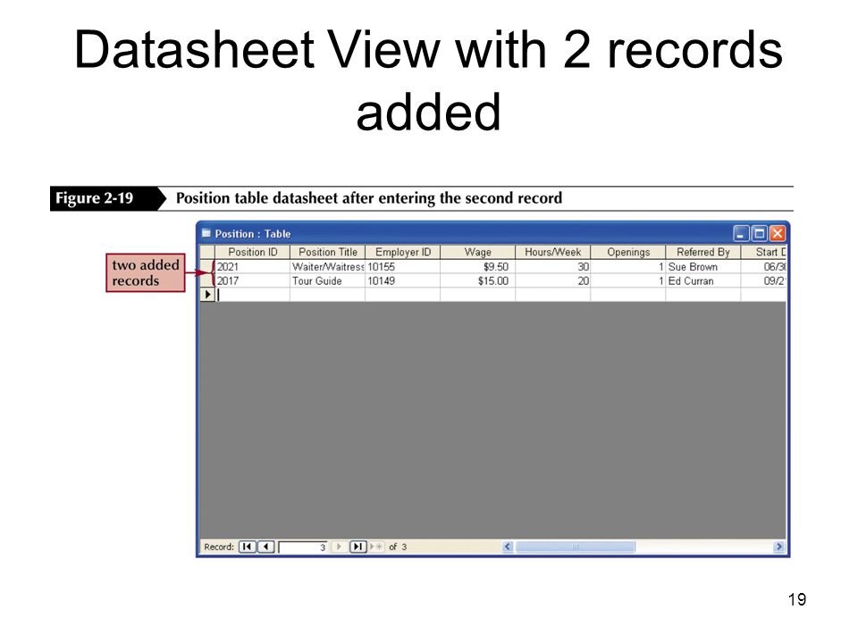 19 Datasheet View with 2 records added