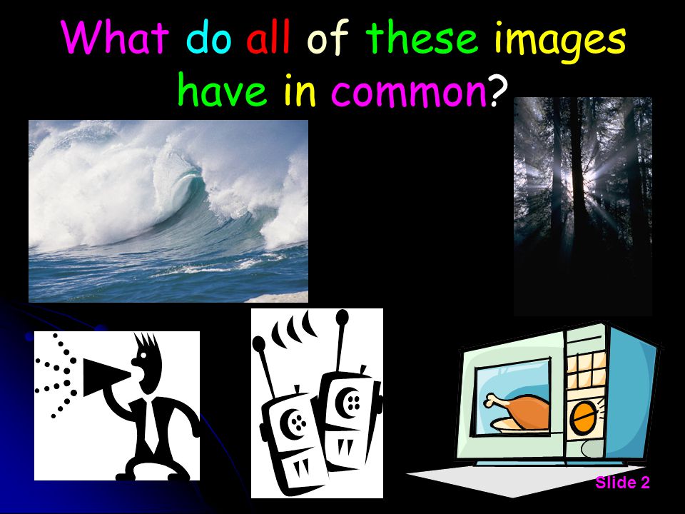 What do all of these images have in common Slide 2
