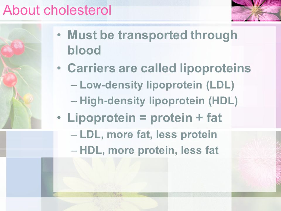 About cholesterol Must be transported through blood Carriers are called lipoproteins –Low-density lipoprotein (LDL) –High-density lipoprotein (HDL) Lipoprotein = protein + fat –LDL, more fat, less protein –HDL, more protein, less fat