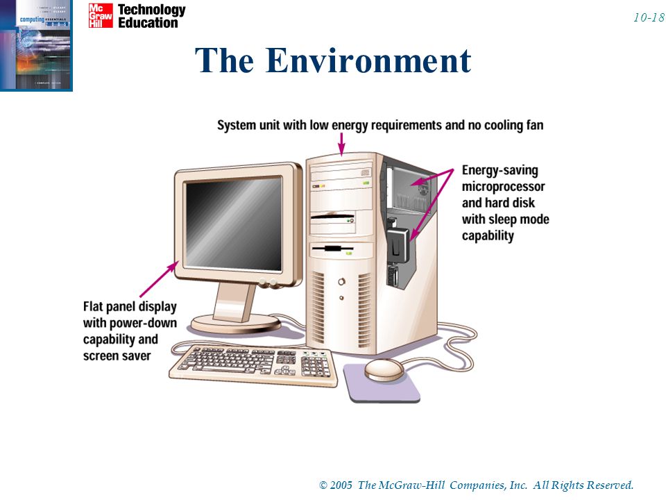 © 2005 The McGraw-Hill Companies, Inc. All Rights Reserved The Environment
