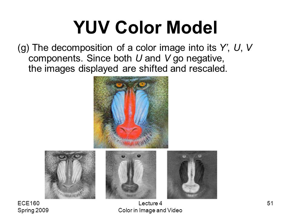 ECE160 Spring 2009 Lecture 4 Color in Image and Video 51 YUV Color Model (g) The decomposition of a color image into its Y’, U, V components.