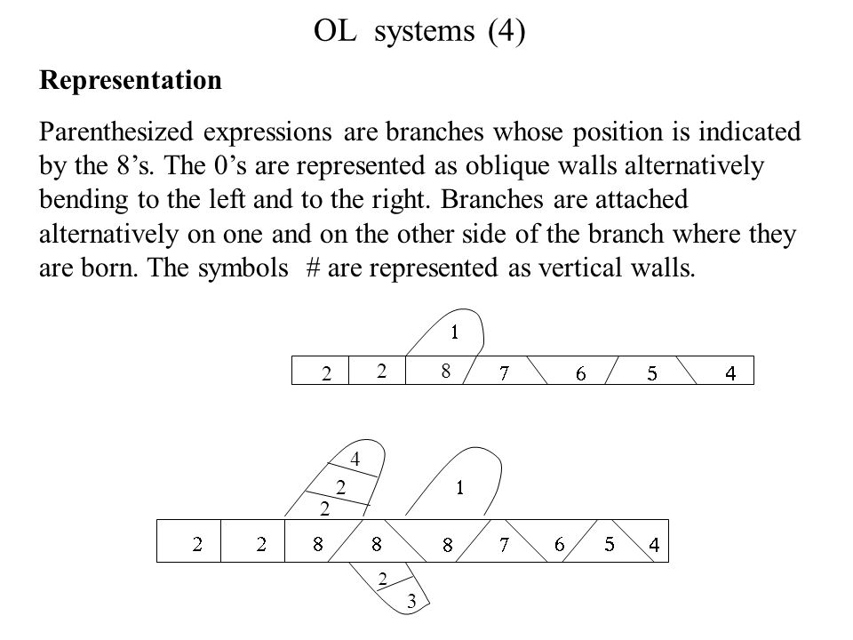 OL systems (4) Representation Parenthesized expressions are branches whose position is indicated by the 8’s.