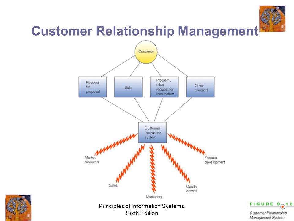 Principles of Information Systems, Sixth Edition Customer Relationship Management