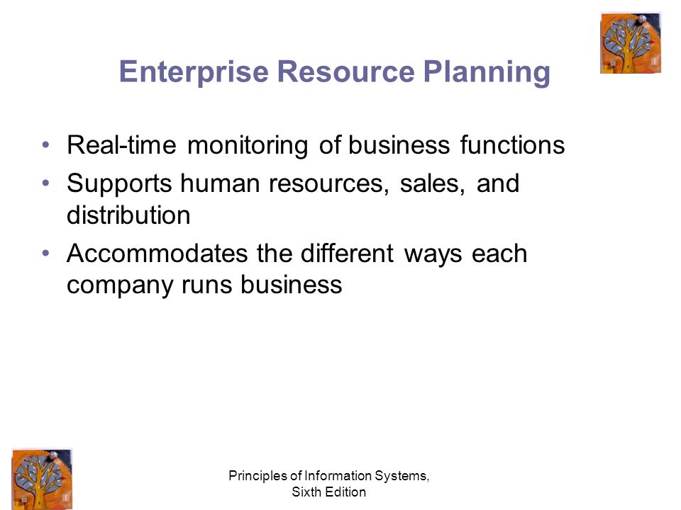 Principles of Information Systems, Sixth Edition Enterprise Resource Planning Real-time monitoring of business functions Supports human resources, sales, and distribution Accommodates the different ways each company runs business