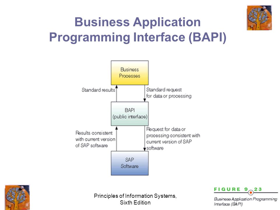 Principles of Information Systems, Sixth Edition Business Application Programming Interface (BAPI)