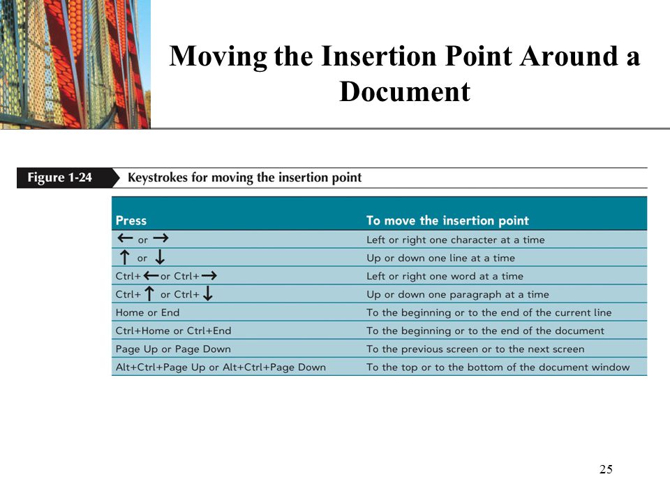 XP 25 Moving the Insertion Point Around a Document
