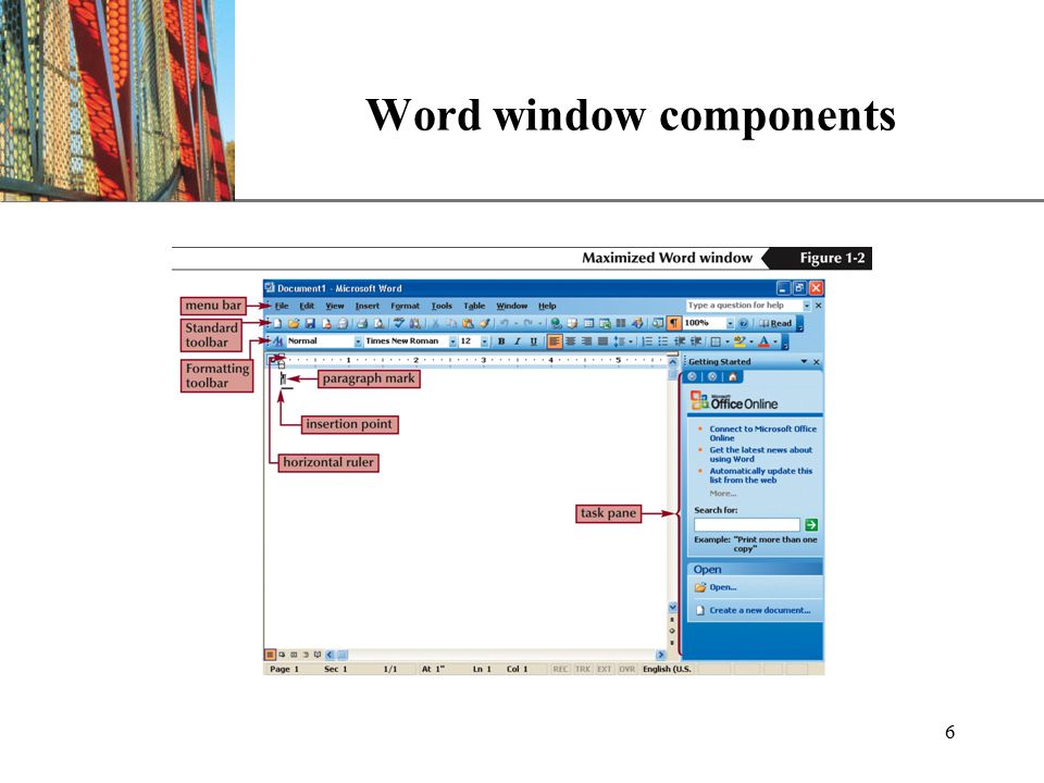 XP 6 Word window components