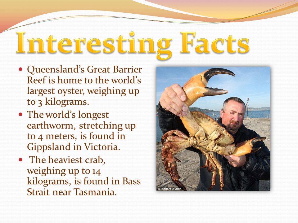 Queensland’s Great Barrier Reef is home to the world’s largest oyster, weighing up to 3 kilograms.