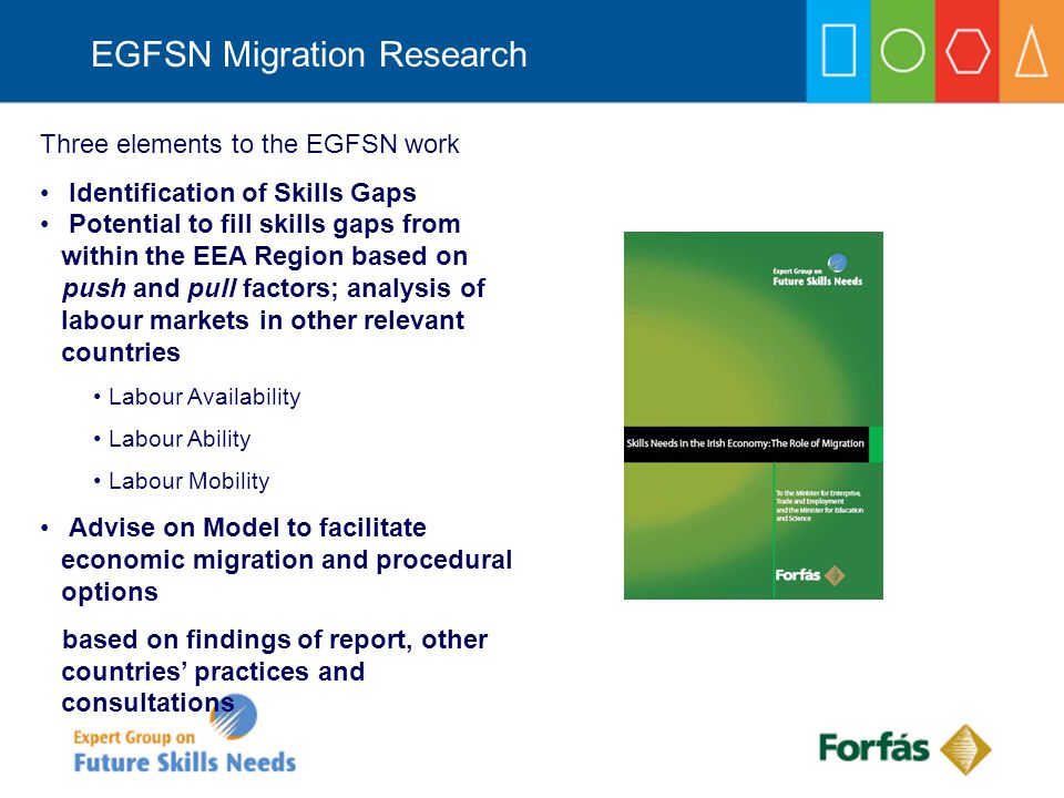 EGFSN Migration Research Three elements to the EGFSN work Identification of Skills Gaps Potential to fill skills gaps from within the EEA Region based on push and pull factors; analysis of labour markets in other relevant countries Labour Availability Labour Ability Labour Mobility Advise on Model to facilitate economic migration and procedural options based on findings of report, other countries’ practices and consultations