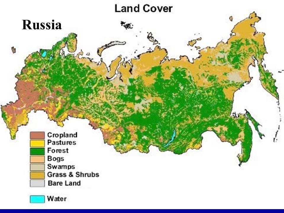 Карта болот в россии